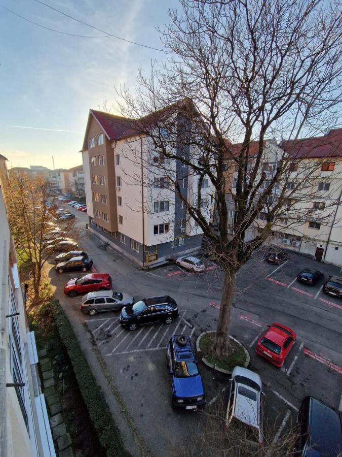 Târgu JiuApartament Victoriaアパートメント エクステリア 写真